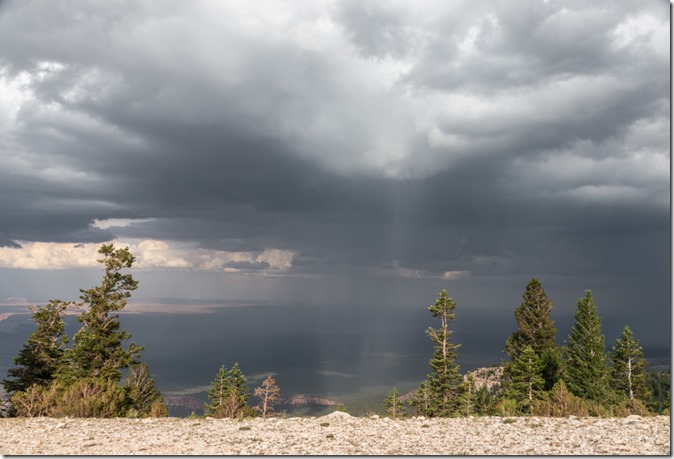 trees valley rain storm clouds Marble View Kaibab National Forest Arizona
