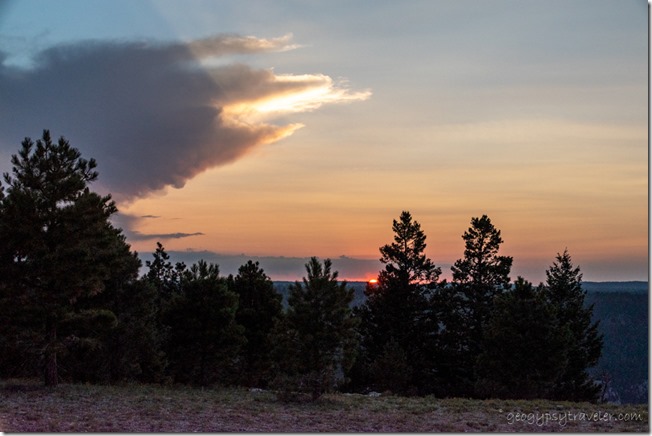 trees sunset clouds Marble View Kaibab National Forest Arizona