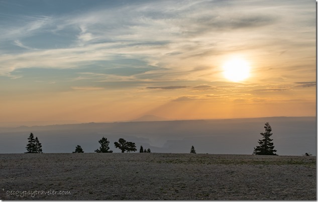 morning light trees House Rock Valley Marble View Kaibab National Forest Arizona