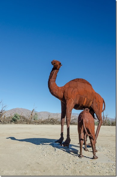 Camel metal sculpture by Ricardo Breceda Galleta Meadows Borrego Springs California