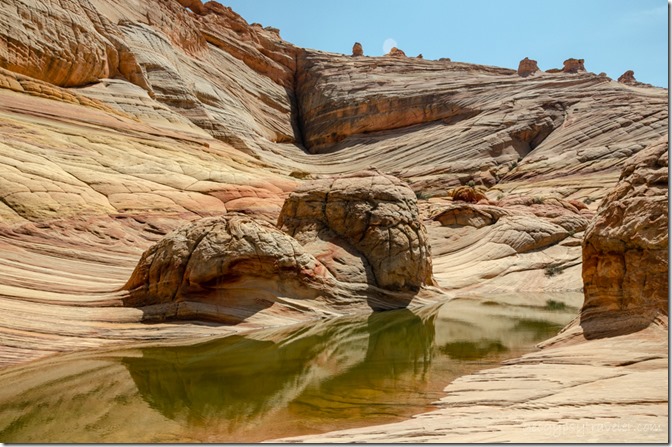 Pool reflection & Top Rock Paria Canyon-Vermilion Cliffs Wilderness Arizona
