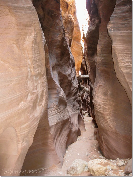 Wire Pass slot canyon trail Utah