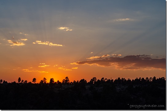trees sunset crespuscular rays Wedding site Cape Royal North Rim Grand Canyon National Park Arizona