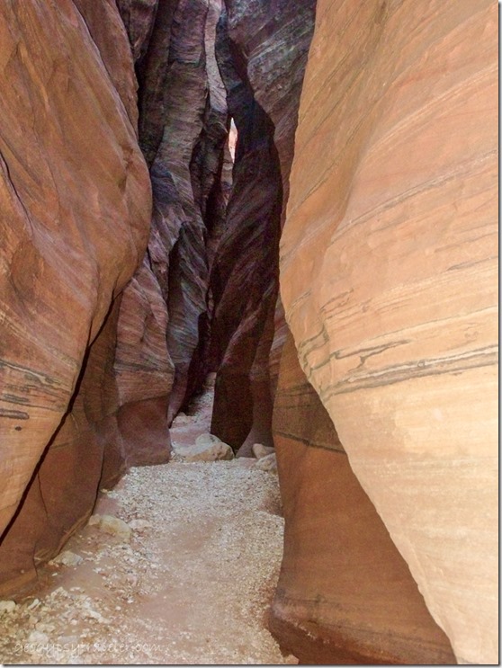 Wire Pass slot canyon trail Grand Staircase Escalante National Monument Utah