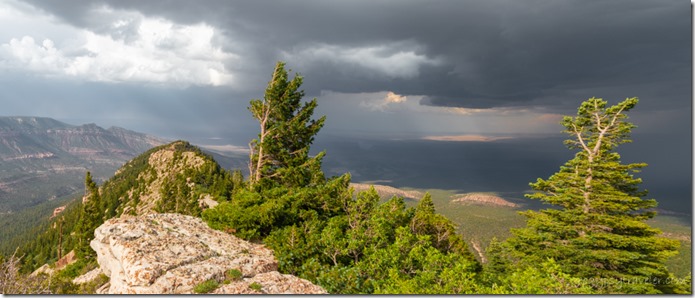 rock trees valley storm clouds Marble View Kaibab National Forest Arizona