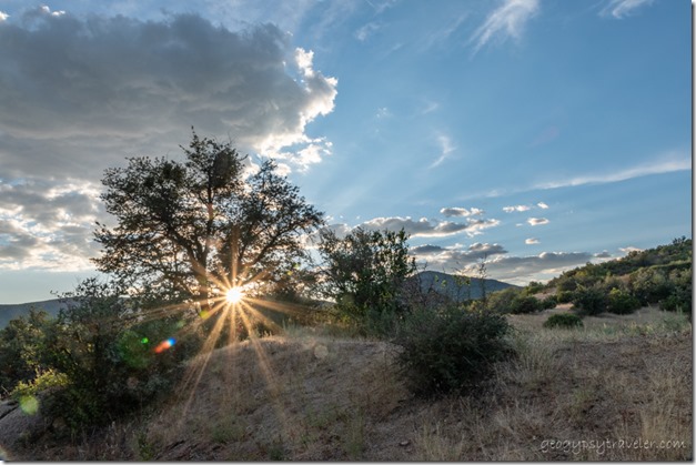 grass trees clouds sunburst Skull Valley Arizona