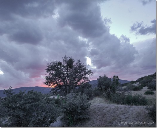 tree cloudy sunset Skull Valley Arizona