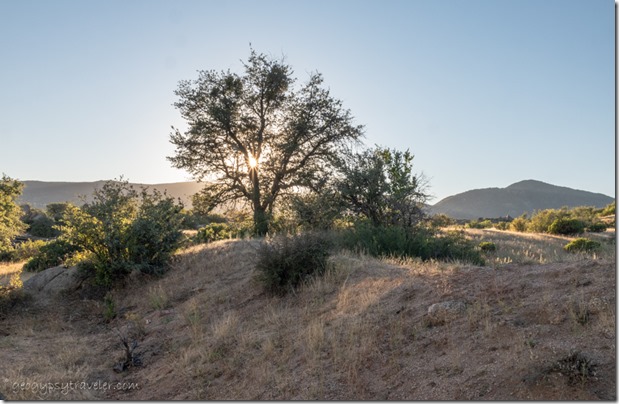 last light grass trees mountains sunburst Skull Valley Arizona