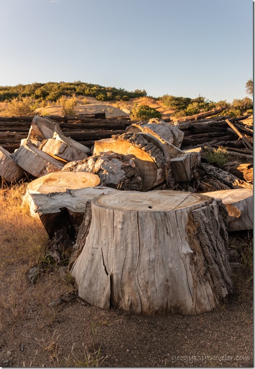 Cottonwood trunk rounds Skull Valley Arizona