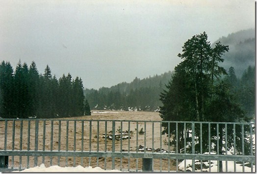 Downstream Lewis River 2-8 am Gifford Pinchot National Forest Washington Feb 1996