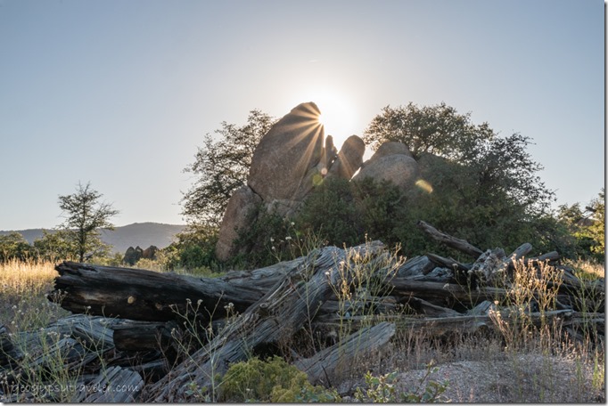 wood boulders trees sunburst Skull Valley Arizona