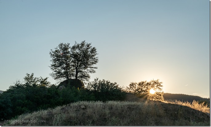 grass trees sunset sunrays Skull Valley Arizona