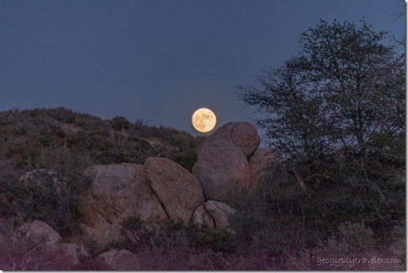 boulders trees full moon rise Skull Valley Arizona