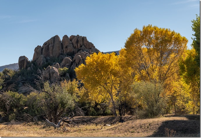yellow Fall Cottonwood trees boulders Skull Valley Arizona