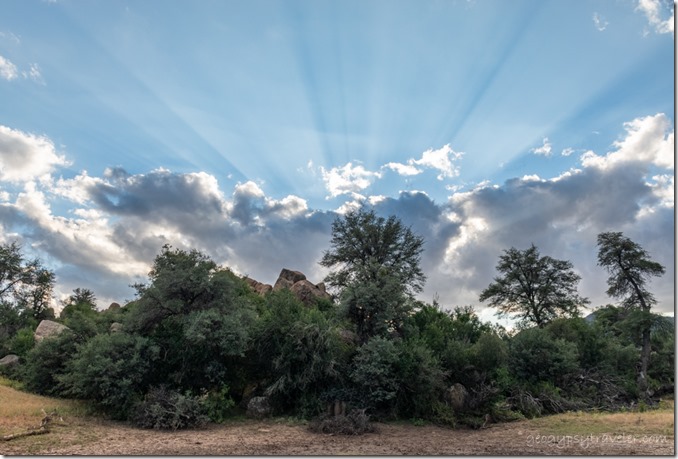 trees clouds crepuscular rays Triple L Ranch Skull Valley Arizona
