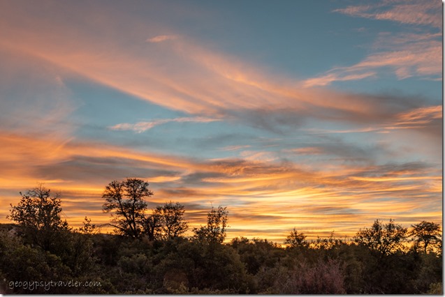 trees sunrise clouds Skull Valley Arizona