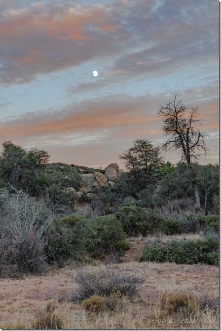 grass trees boulders reverse sunset clouds moon Skull Valley Arizona