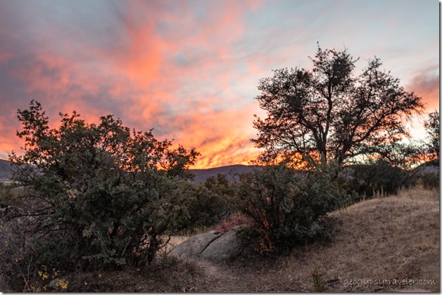 trees sunset clouds Skull Valley Arizona