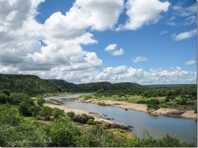 Olifants River Kruger National Park Mpumalanga South Africa