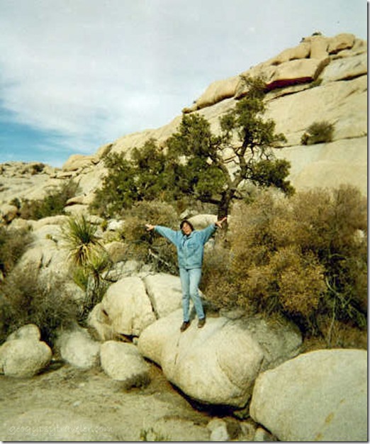 Gaelyn Joshua Tree National Park California Nov 2002