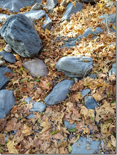 boulders leaves Oak Creek Arizona