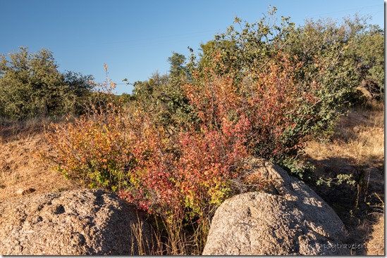 fall leaves boulders Skull Valley Arizona