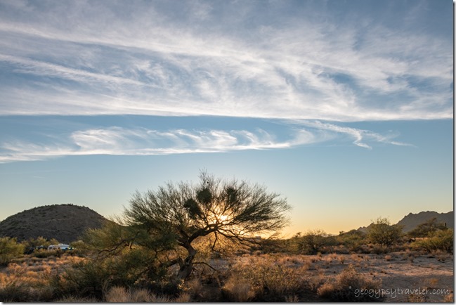 desert Palo Verde tree mts sunset clouds Cemetery Rd Congress Arizona