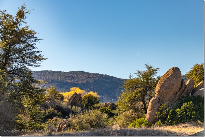 fall trees boulders Brushy Mt Skull Valley Arizona