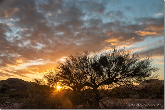 tree sunset clouds Cemetery Rd Congress Arizona