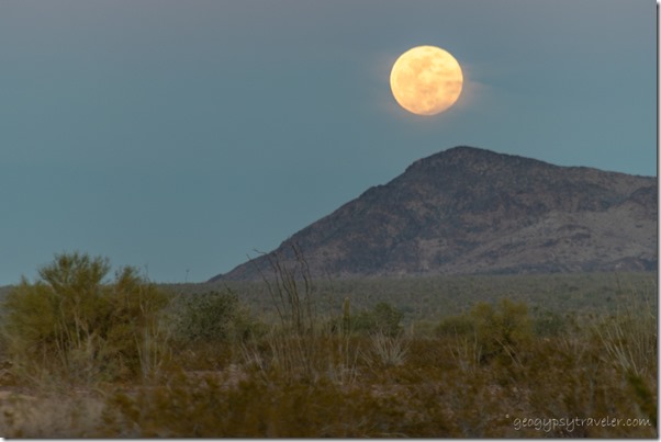 desert Kofa Mts full moon rise Earth Shadow BLM Palm Canyon Rd Kofa National Wildlife Refuge Arizona