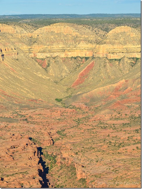 Drainage NE from Jumpup Point Kaibab National Forest Arizona