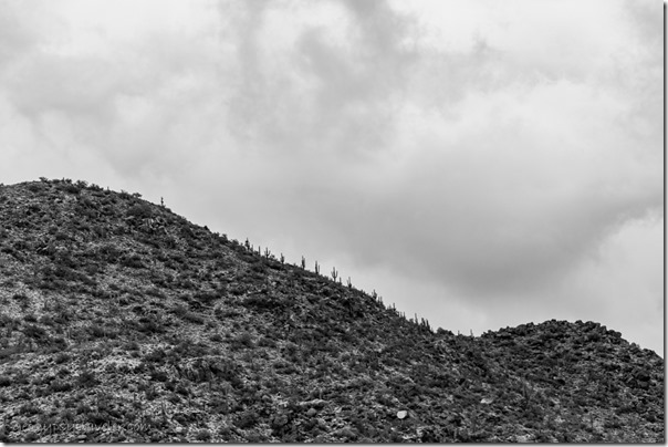 Saguaro ridge line Date Crk Mts Cemetery Rd Congress AZ
