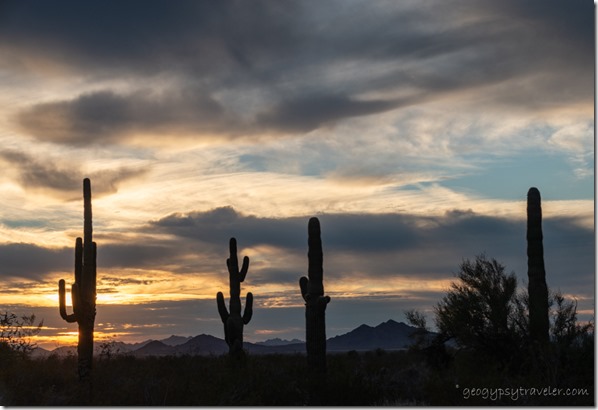 Saguaro sunset clouds BLM Palm Canyon Rd Kofa National Wildlife Refuge Arizona