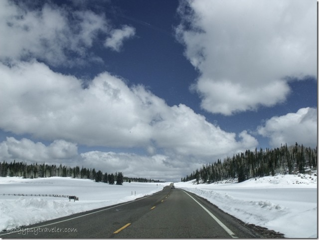 Snow on the meadows along Hwy 67 N Kaibab National Forest Arizona