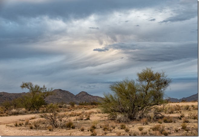 Palo Verde trees desert rd Date Crk Mts curved virga storm clouds BLM Stanton Rd Congress Arizona