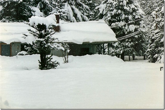 28 inches Of Snow Pine Creek Work Station Gifford Pinchot National Forest Washington 1-28-96
