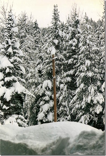 22 inches Of Snow Pine Creek Work Station Gifford Pinchot National Forest Washington 1-26-96