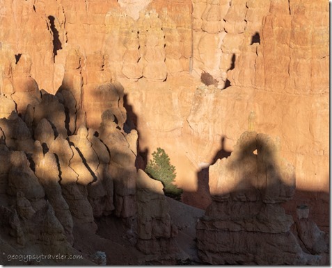 light & shadows hoodoo window tree Bryce Canyon National Park Utah