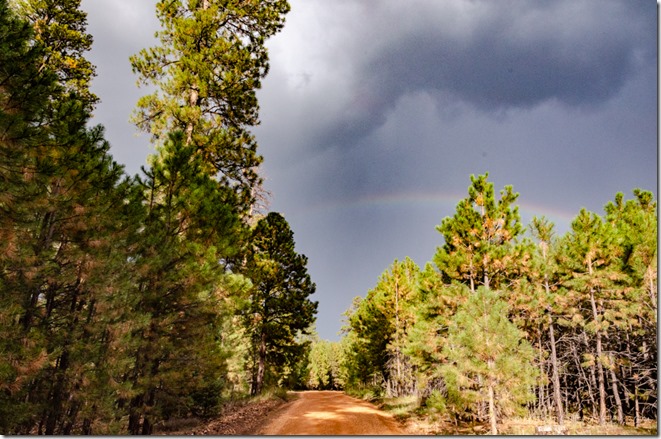 Dark sky & rainbow FR271 Kaibab National Forest Arizona