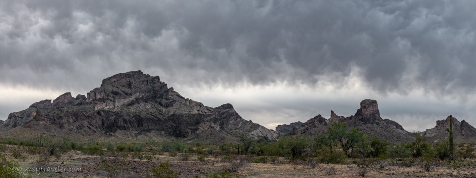 Adam Hall's enigmatic Arizona career appears over - Arizona Desert Swarm