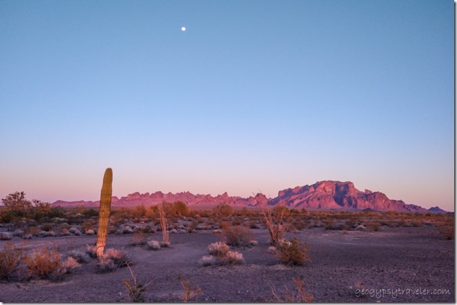 last light desert Kofa Mts moon Palm Canyon BLM Kofa National Wildlife Refuge Arizona