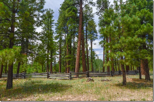Corral at Lookout Canyon staging area Kaibab National Forest Arizona