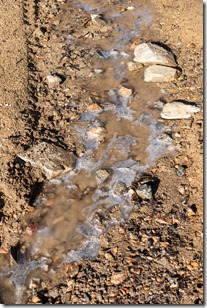 ice puddle Copper Basin Rd Prescott National Forest Arizona