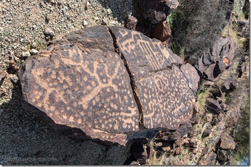 petroglyphs Saddle Mt BLM Tonopah AZ