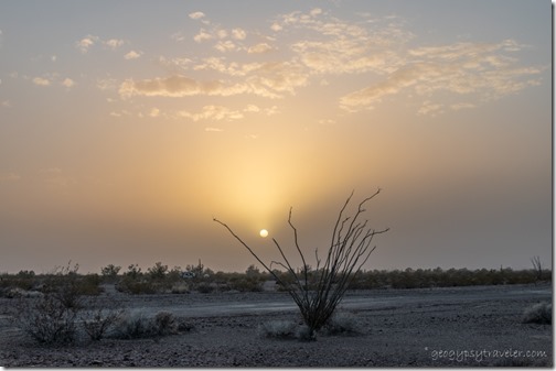 Ocotillo desert dusty sunset clouds BLM Palm Canyon Rd Kofa National Wildlife Refuge Arizona