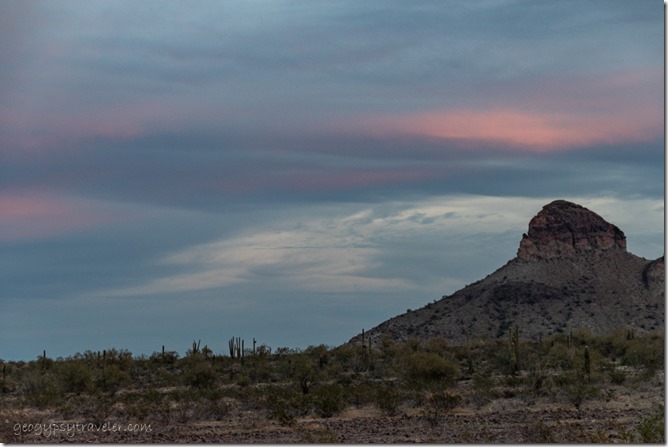 Saguaro desert mt clouds Saddle Mt BLM Tonopah AZ