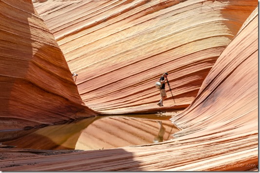 Hiker reflected in lower pool Coyote Buttes North Paria Canyon-Vermilion Cliffs Wilderness Arizona