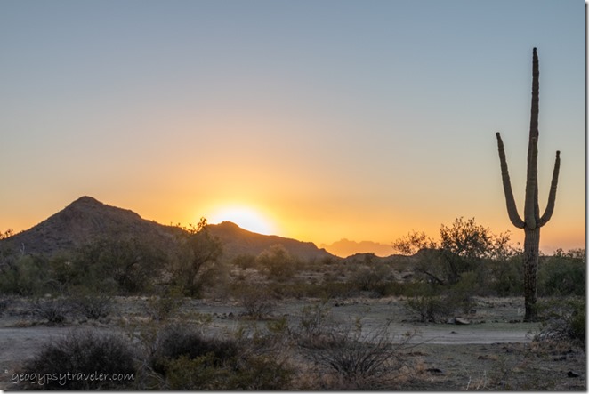 Saguaro desert mt sunset Saddle Mt BLM Tonopah AZ