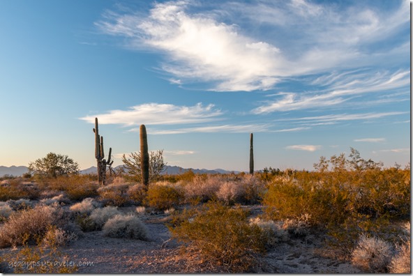 last light desert mts clouds BLM Palm Canyon Rd Kofa National Wildlife Refuge Arizona