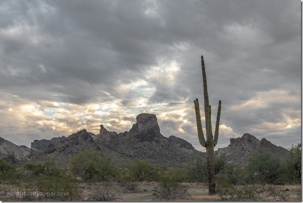 Saguaro cactus desert mts sunset clouds Saddle Mt BLM Tonopah Arizona